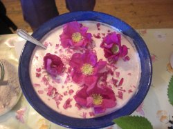 Rosencreme